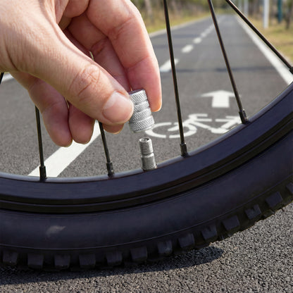 Chrome Valve Stem Caps (4-Pack)