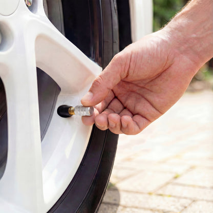 Chrome Valve Stem Caps (4-Pack)